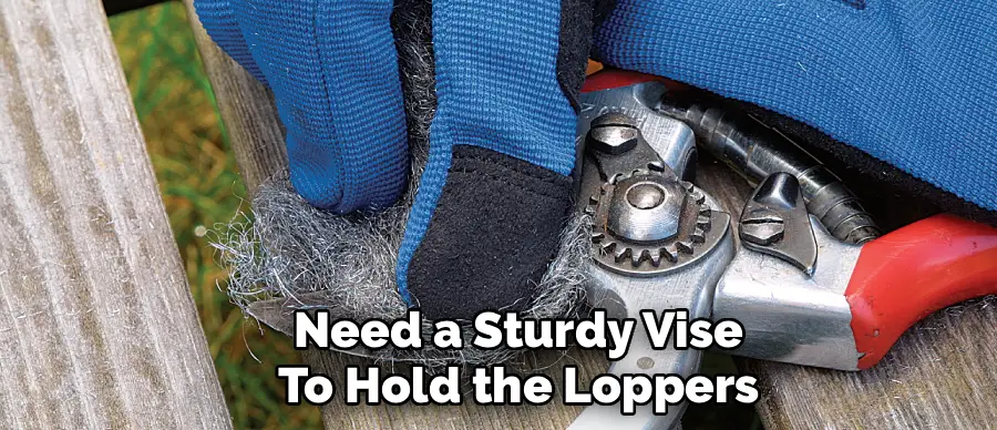 Need a Sturdy Vise
To Hold the Loppers
