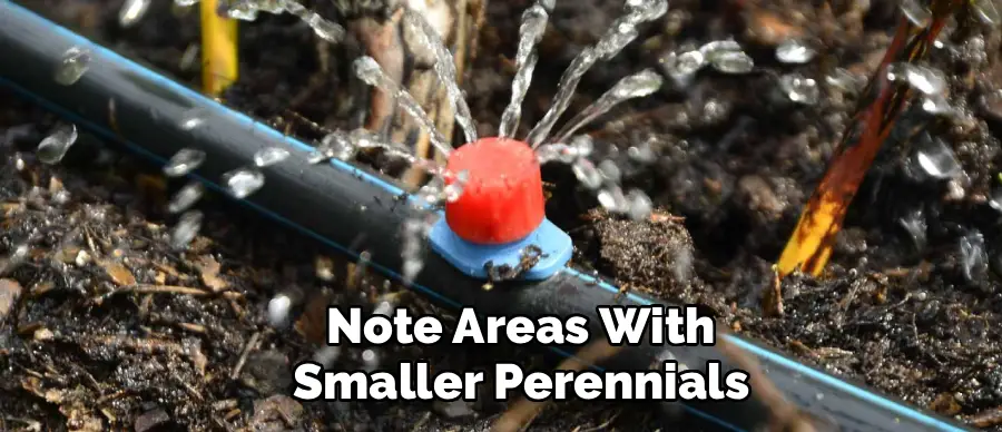 Note Areas With
Smaller Perennials