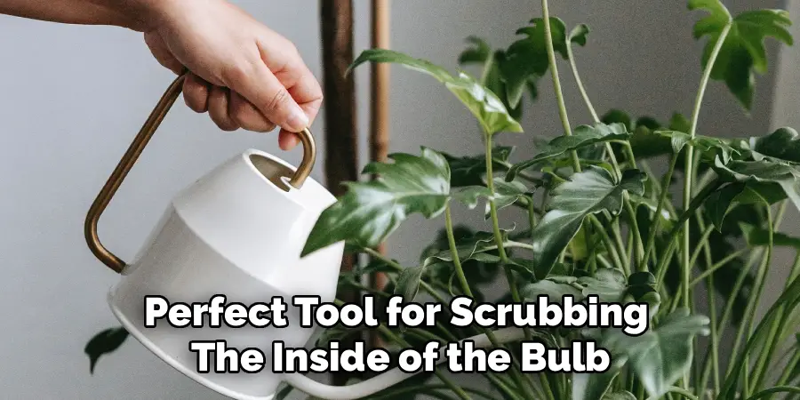Perfect Tool for Scrubbing
The Inside of the Bulb