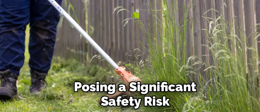 Posing a Significant
Safety Risk