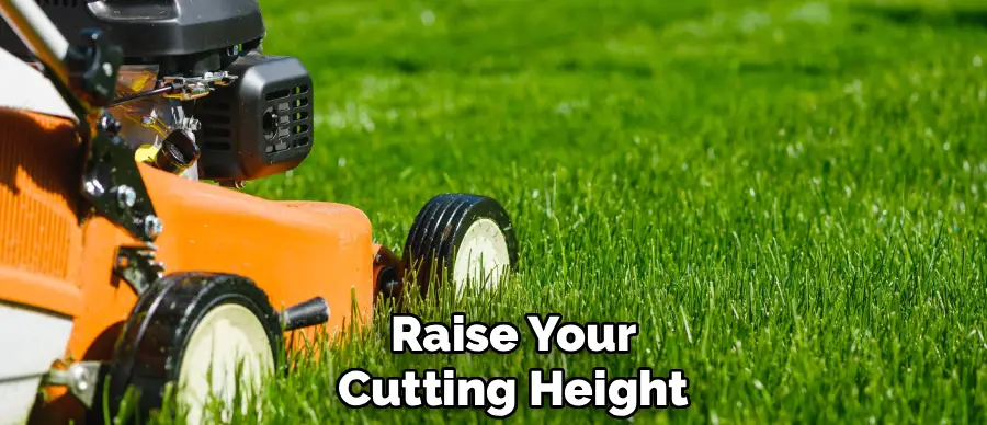 Raise Your
Cutting Height