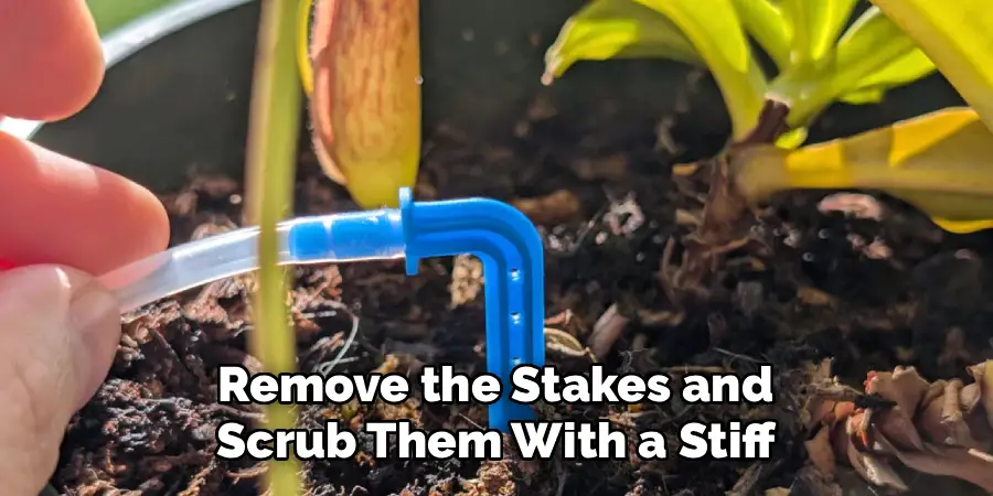 Remove the Stakes and 
Scrub Them With a Stiff 
