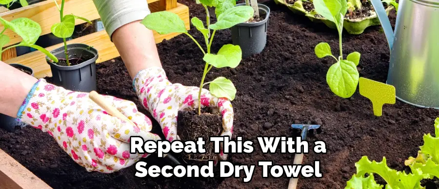 Repeat This With a
Second Dry Towel