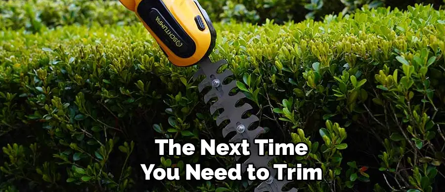 The Next Time
You Need to Trim