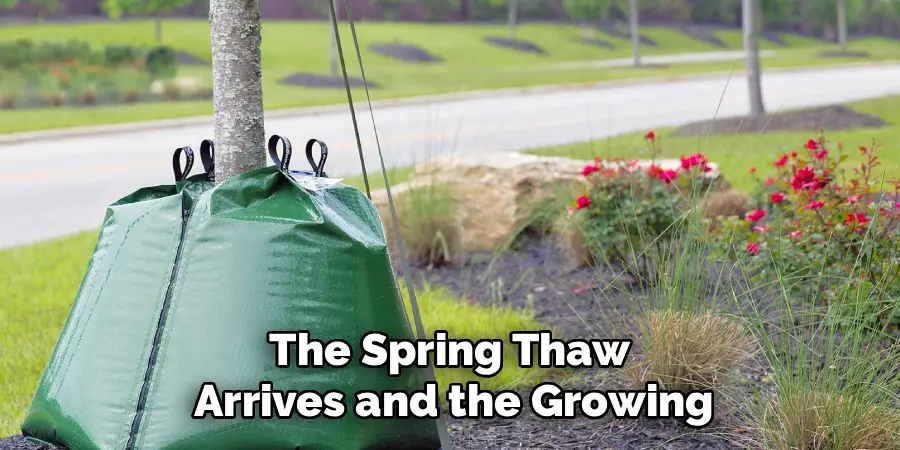 The Spring Thaw 
Arrives and the Growing