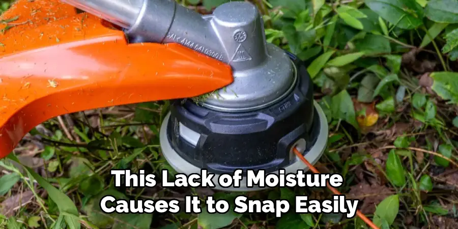 This Lack of Moisture
Causes It to Snap Easily