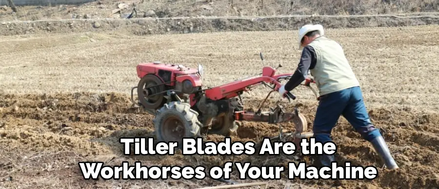 Tiller Blades Are the
Workhorses of Your Machine