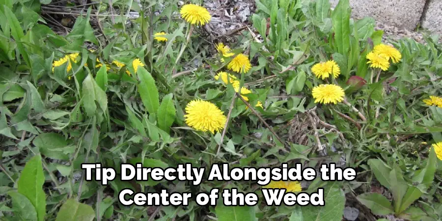 Tip Directly Alongside the 
Center of the Weed