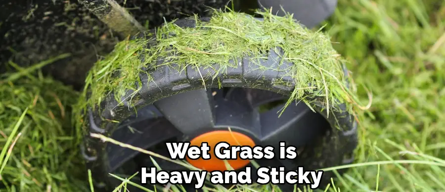 Wet Grass is
Heavy and Sticky