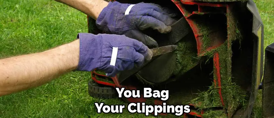You Bag
Your Clippings