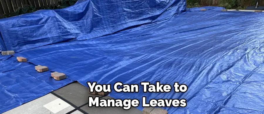 You Can Take to
Manage Leaves