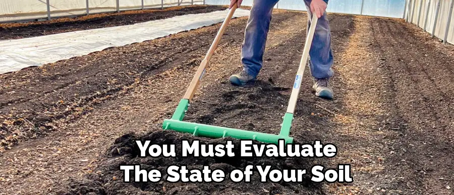 You Must Evaluate
The State of Your Soil