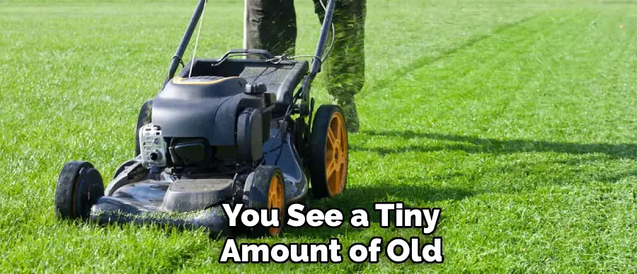 You See a Tiny
Amount of Old
