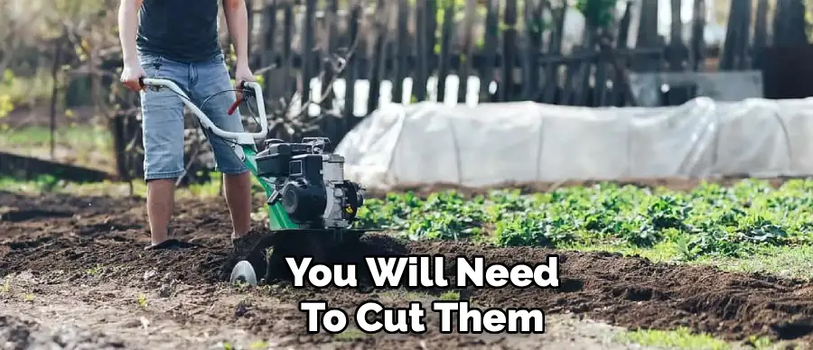 You Will Need
To Cut Them