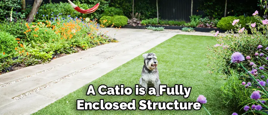 A Catio is a Fully
Enclosed Structure