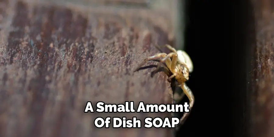A Small Amount
Of Dish SOAP