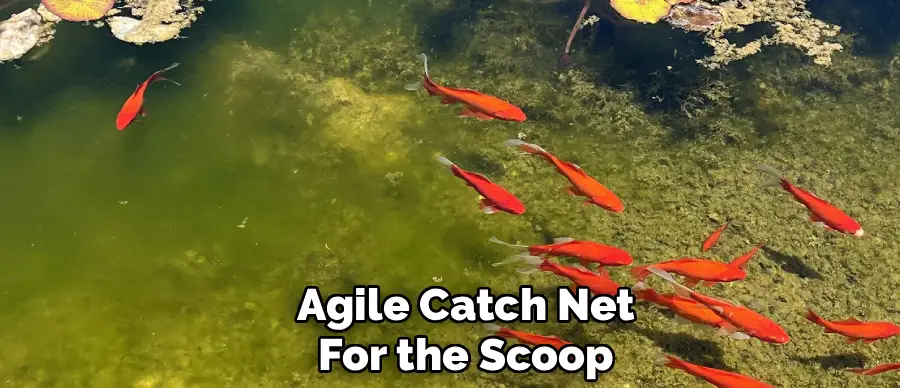 Agile Catch Net
For the Scoop