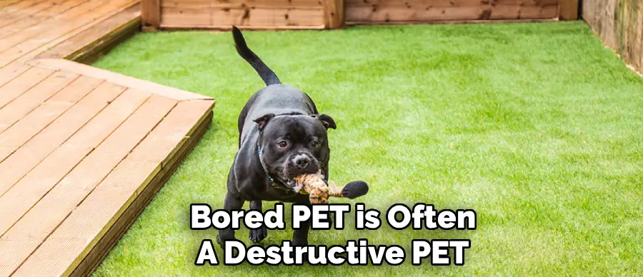 Bored PET is Often
A Destructive PET