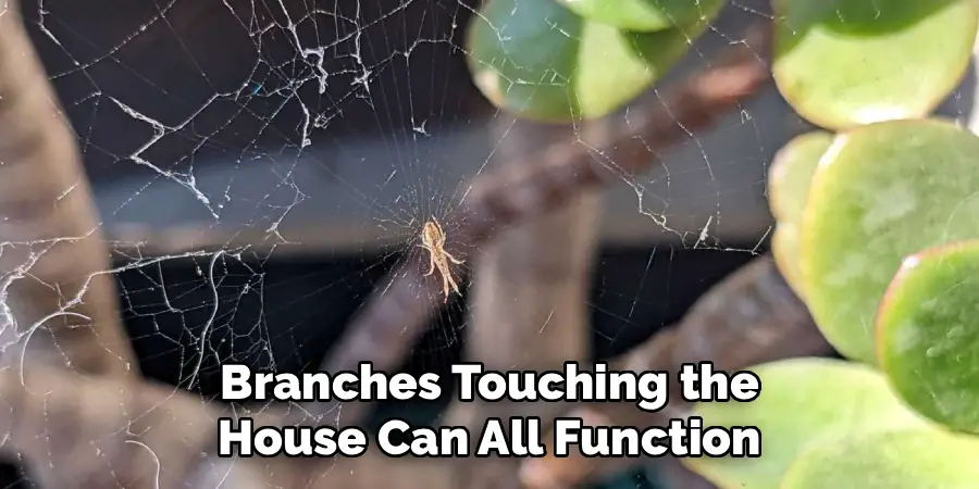 Branches Touching the
House Can All Function