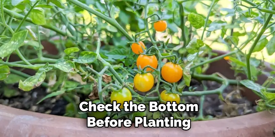 Check the Bottom
Before Planting
