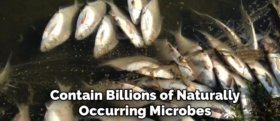 Contain Billions of Naturally
Occurring Microbes