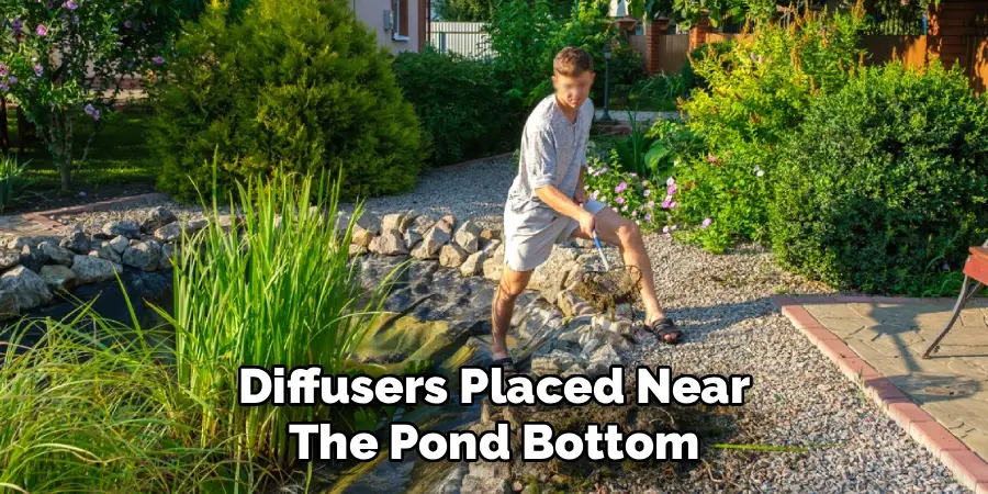 Diffusers Placed Near The Pond Bottom
