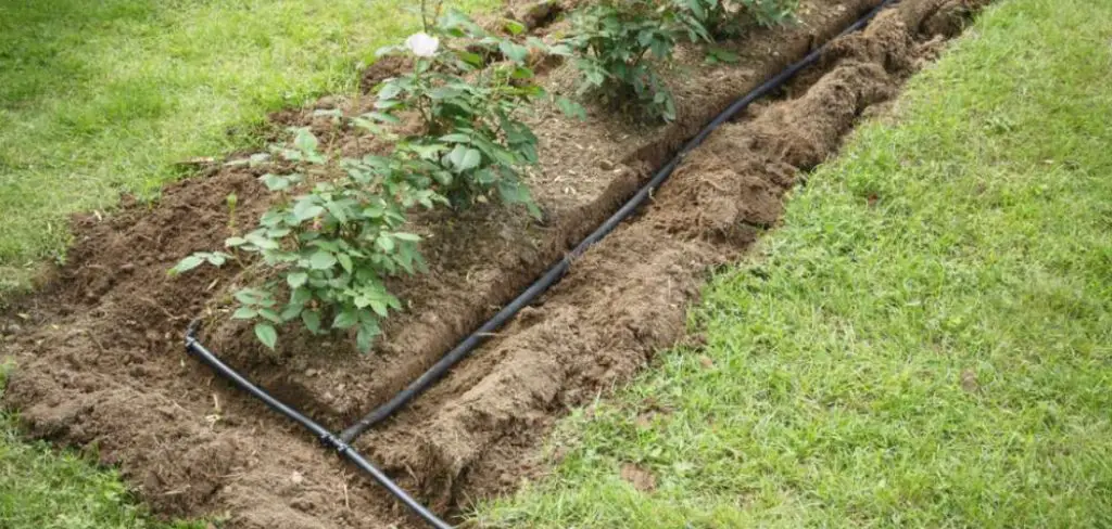 How to Bury Soaker Hose