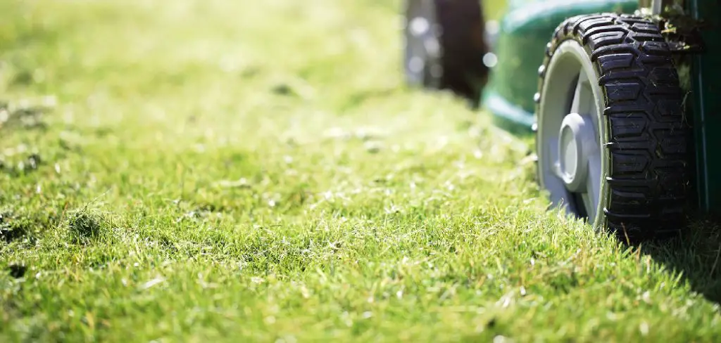 How to Clean a Lawn Mower Fuel Filter