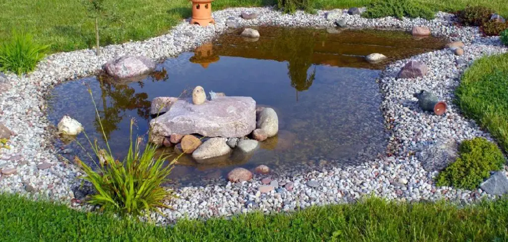 How to Clean a Small Pond