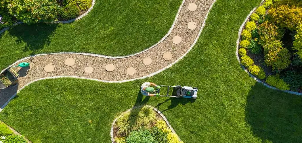 How to Clean and Maintain a Backyard