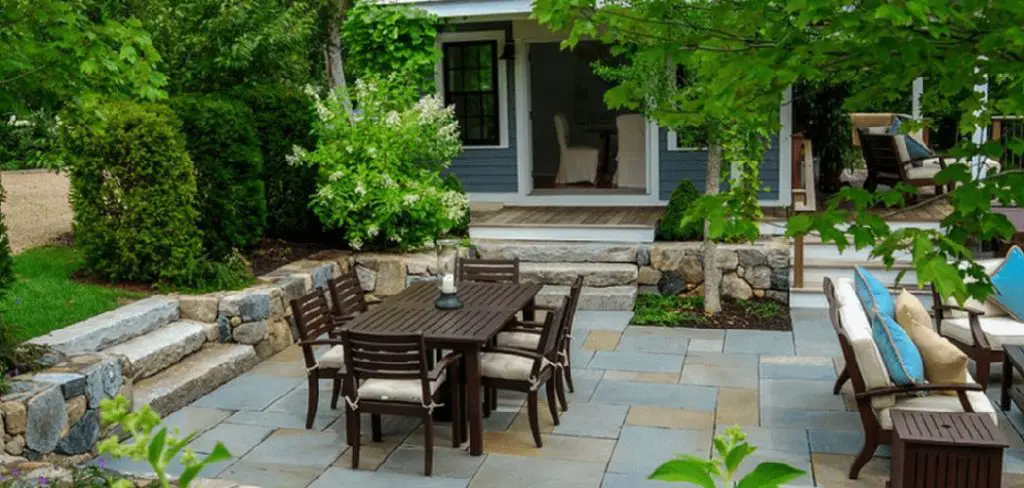 How to Decorate a Backyard with Plants