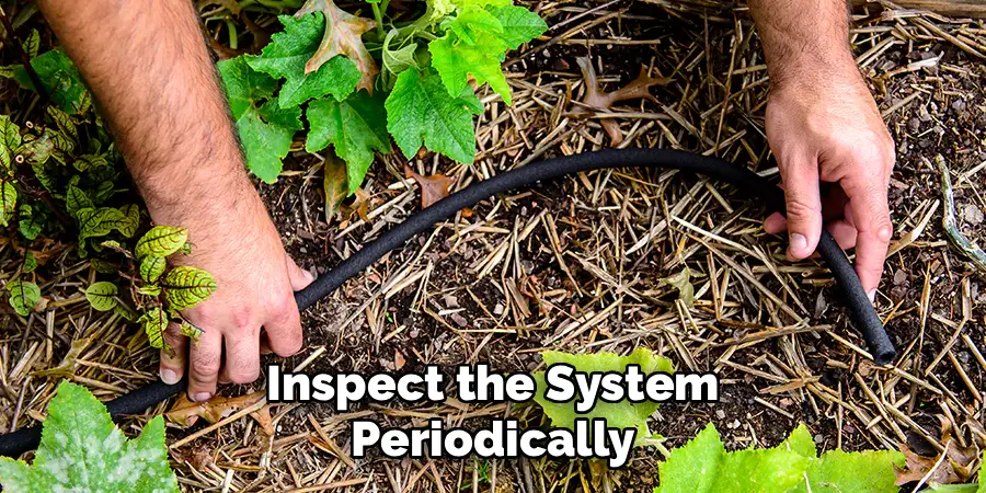 Inspect the System
Periodically
