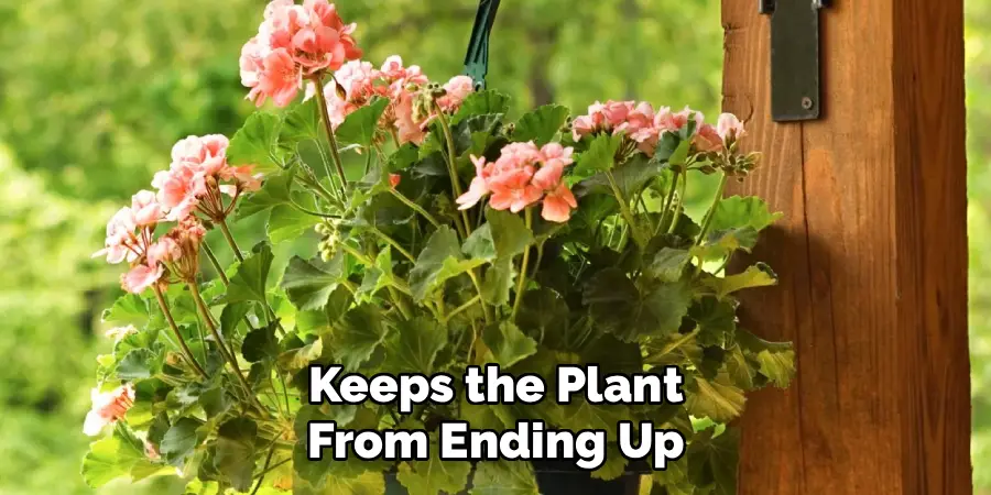 Keeps the Plant From Ending Up