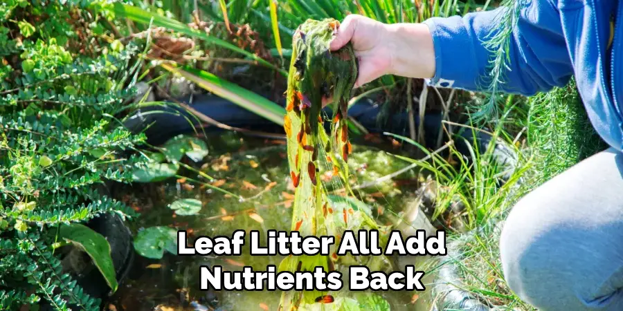 Leaf Litter All Add Nutrients Back