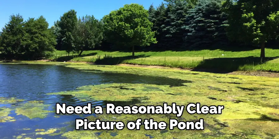 Need a Reasonably Clear Picture of the Pond