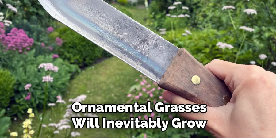 Ornamental Grasses
Will Inevitably Grow