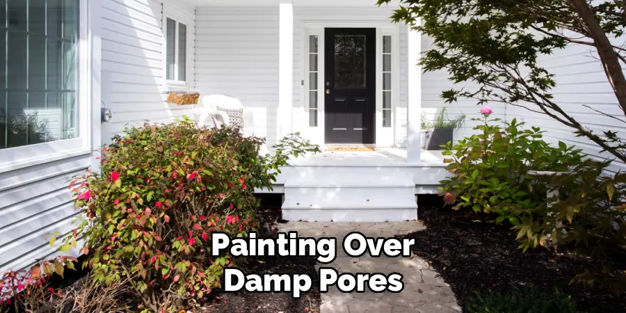 Painting Over Damp Pores