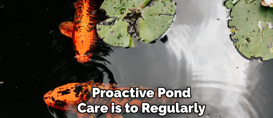 Proactive Pond
Care is to Regularly