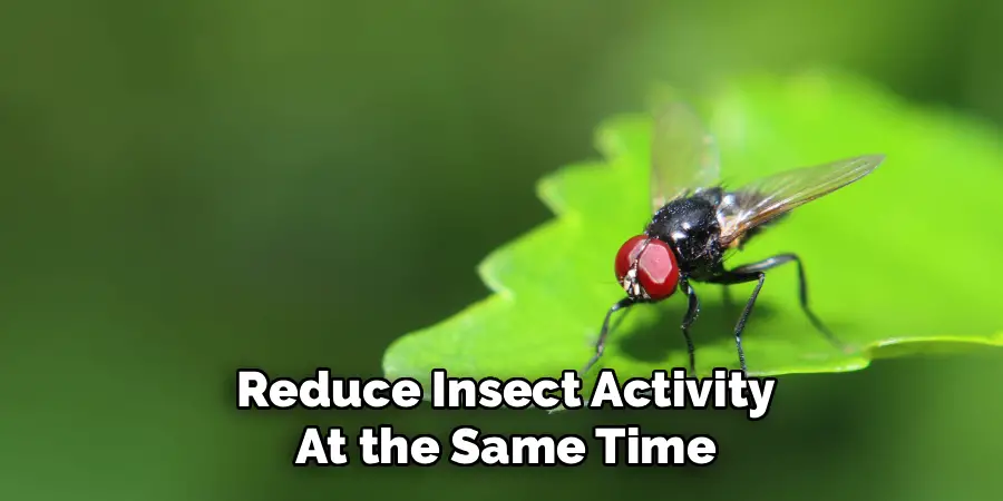 Reduce Insect Activity At the Same Time