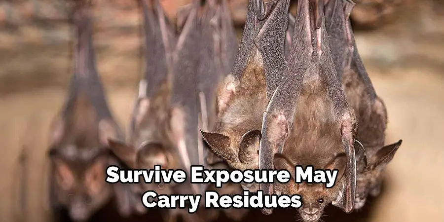 Survive Exposure May Carry Residues