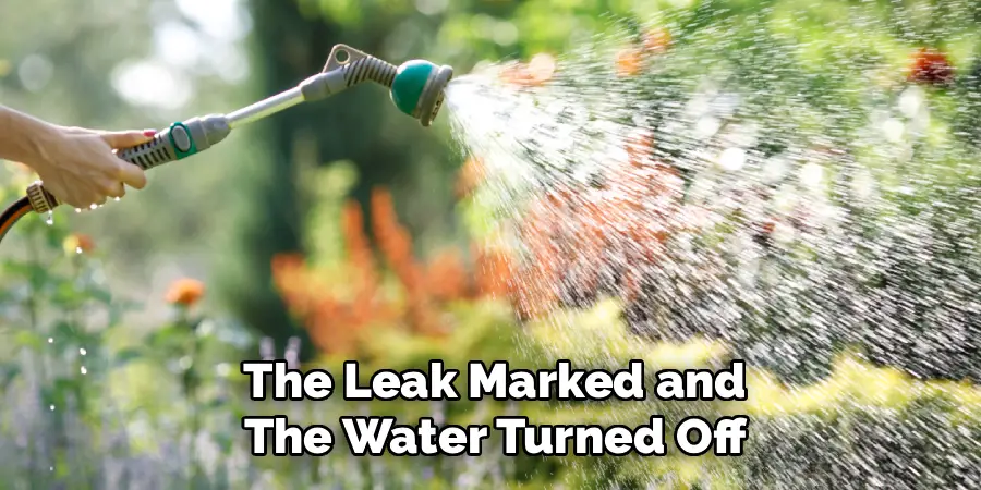 The Leak Marked and
The Water Turned Off