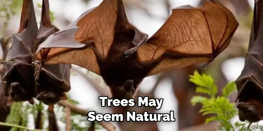 Trees May Seem Natural