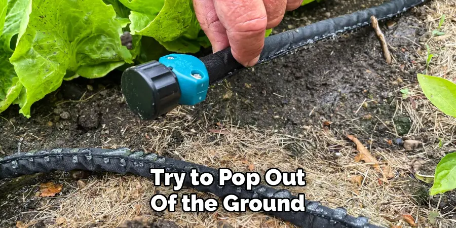 Try to Pop Out
Of the Ground