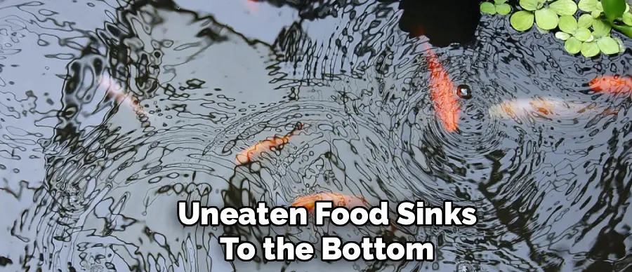 Uneaten Food Sinks
To the Bottom