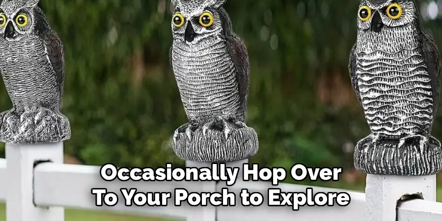 Occasionally Hop Over
To Your Porch to Explore