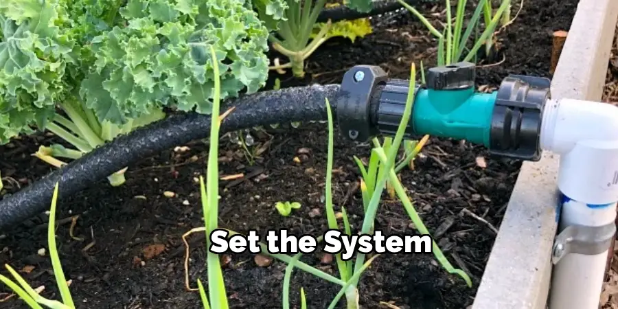 Set the System