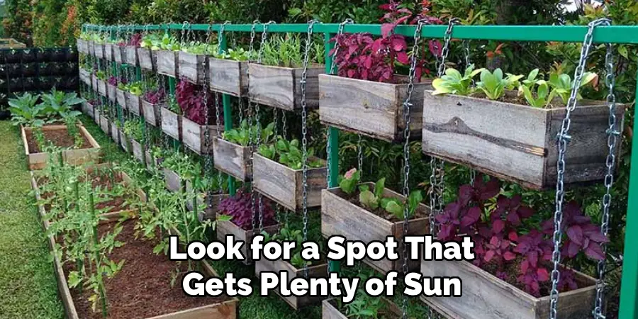 Look for a Spot That
Gets Plenty of Sun