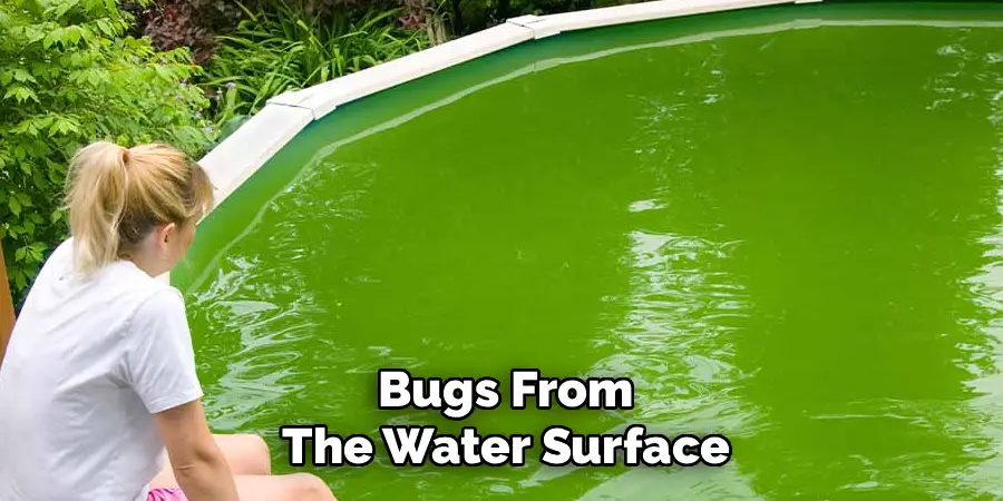 Bugs From
The Water Surface
