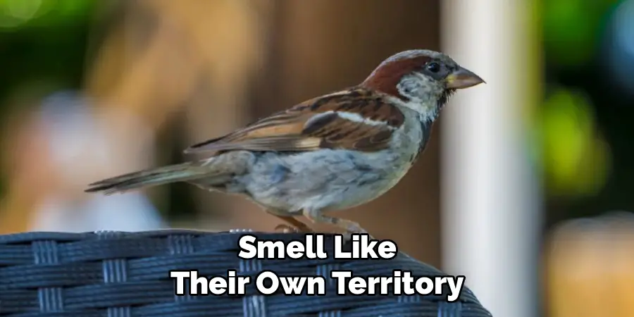 Smell Like
Their Own Territory