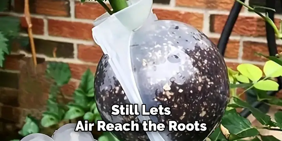Still Lets
Air Reach the Roots
